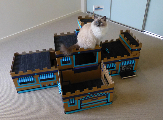 Cardboard Cat Castle