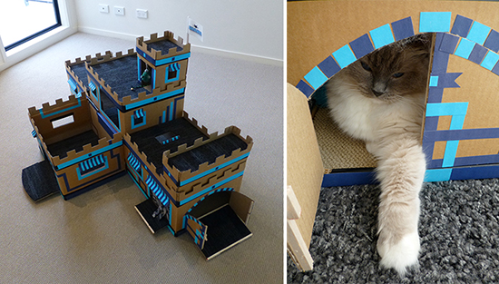 Cardboard Cat Castle