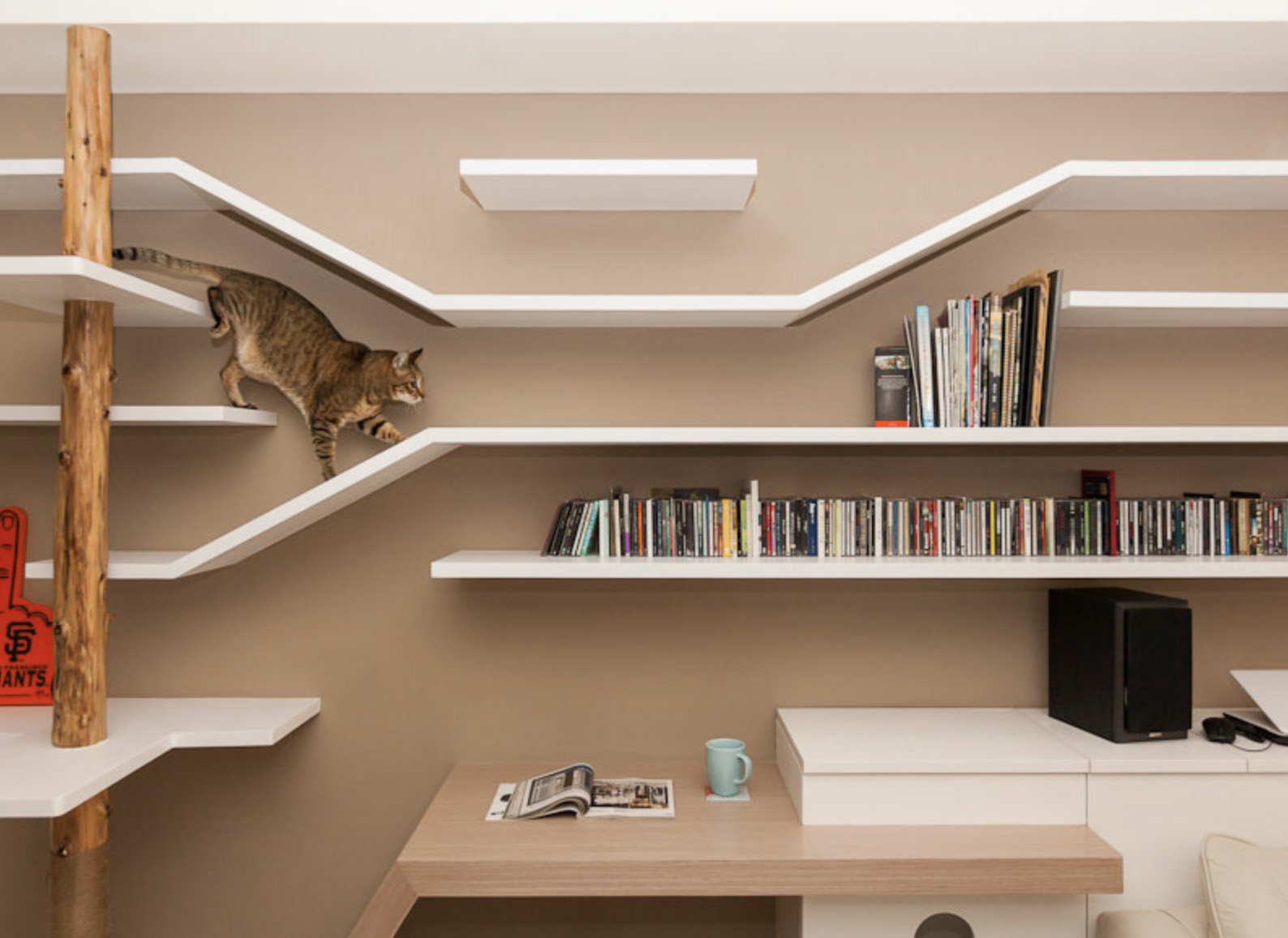 Cat-friendly architecture in Taiwan, climbing shelves, natural scratching post
