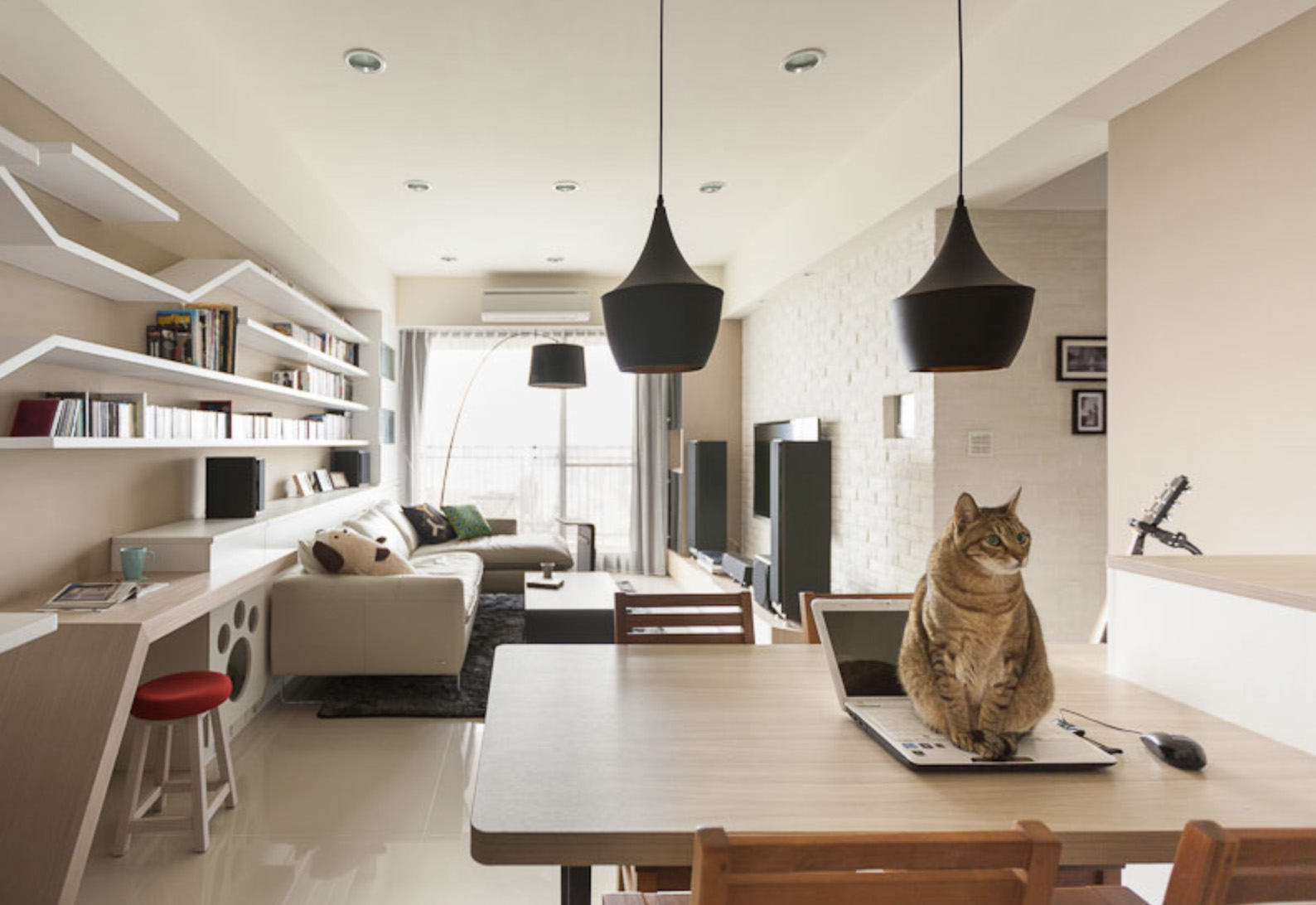 The petting room. Комната для кошек. Коты в интерьере квартиры. Интерьер для кота в квартире. Квартира в стиле кот.