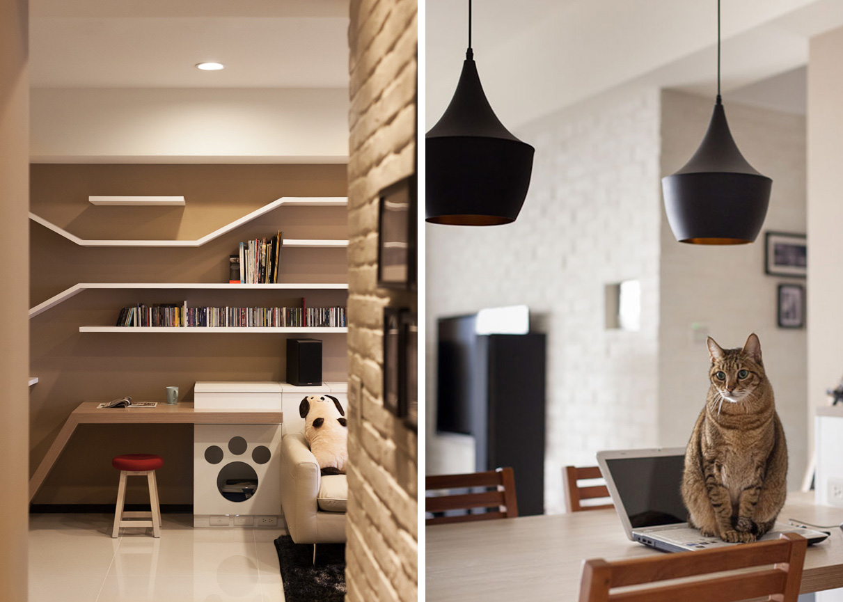 Cat-friendly architecture in Taiwan, climbing shelves, cat sitting on computer