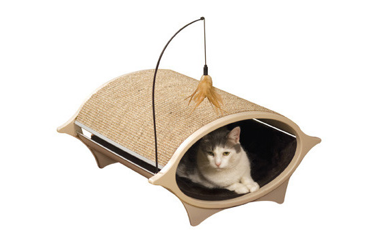 Single cat bed hotsell