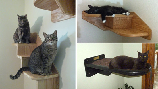 VerticalCatShelves