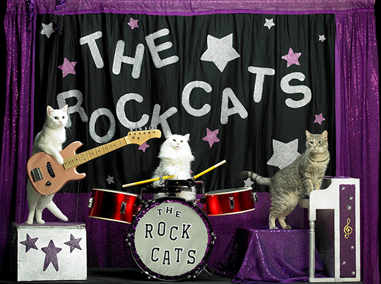 AcroCats