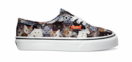 CatVans1