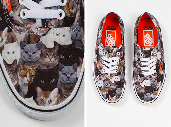 CatVans2