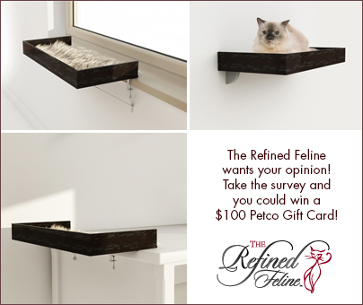 RefinedFelineSurvey