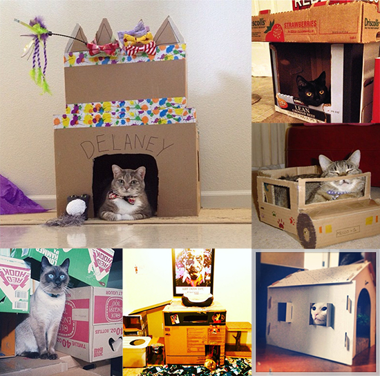 CardboardContestEntries_CatCastles2