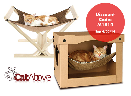 CatAbove_Discount