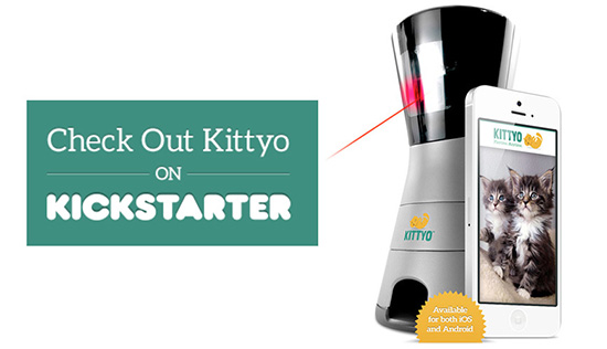 KittyoKickstarter1