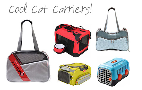 CoolCatCarriers