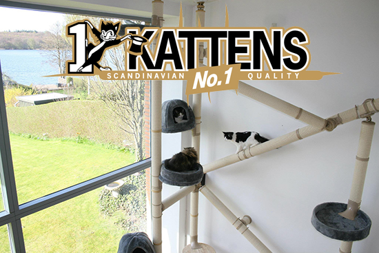 Kattens No. 1 Seeks Distributor and • hauspanther