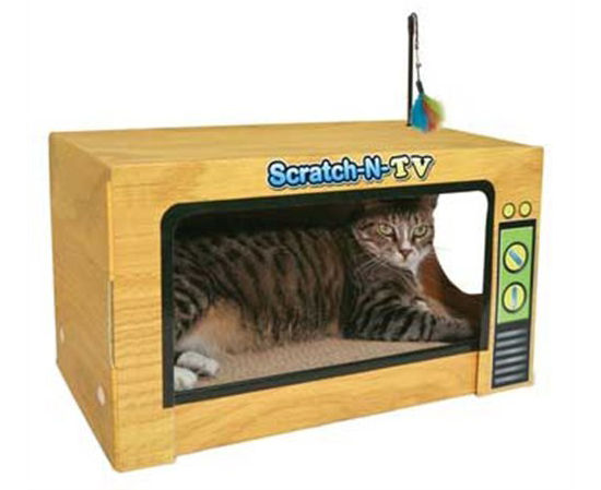 CatScratchTV