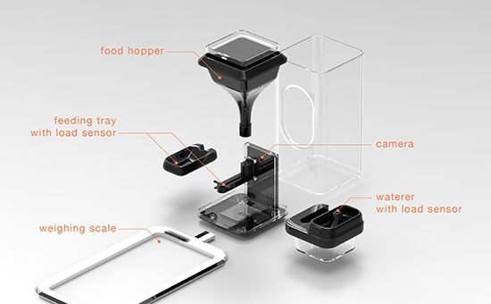 Bistro smart feeder sale