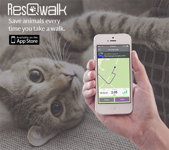 ResQwalk1