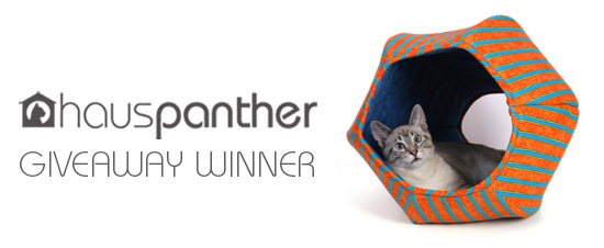 CatBall_winner