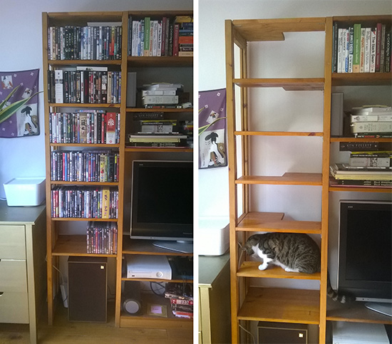 DIY_HiddenCatLadder1