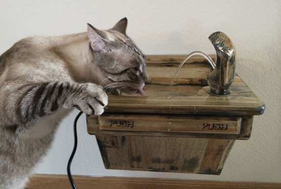 OldSchoolCatDrinkingFountain1