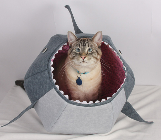 SharkCatBall1