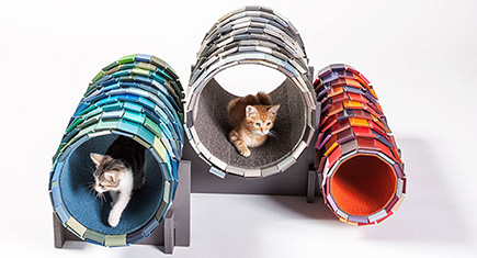 Beautiful Cat Shelter Designs from Architects for Animals LA Event