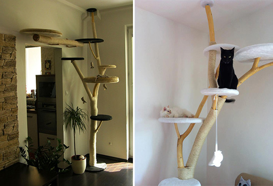 Good looking cat tree sale