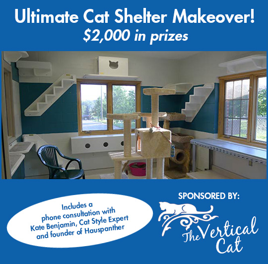 UltimateShelterMakeover2014