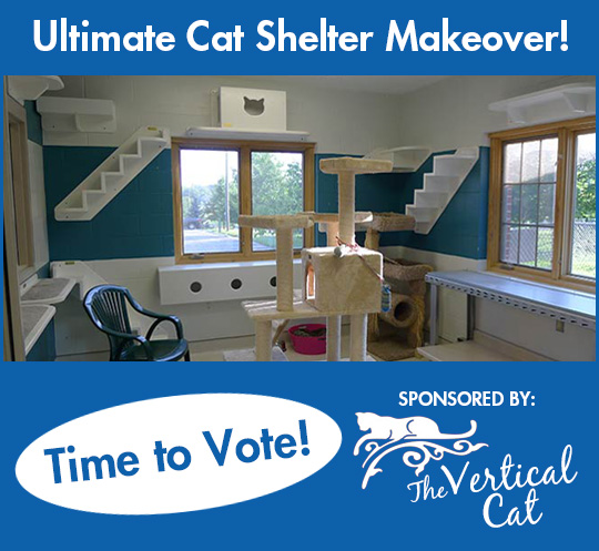 UltimateShelterMakeover2014_Vote