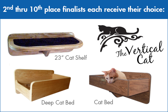 VerticalCatPrizes