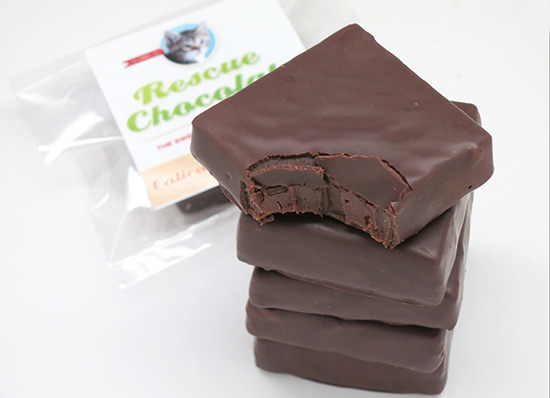 RescueChocolate4