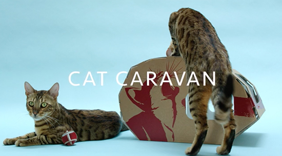 CatCaravan1