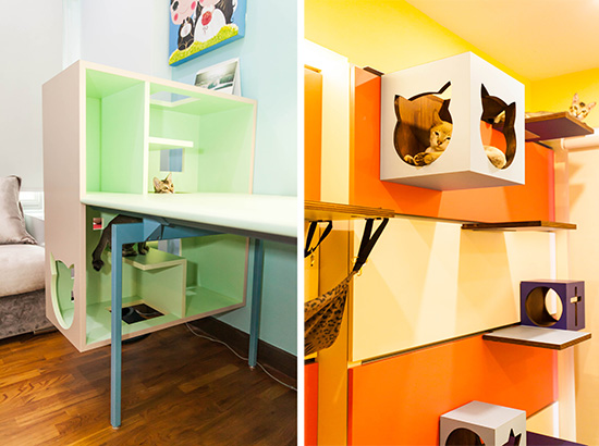 Designer cat furniture, Catification, Interior Design, Modern