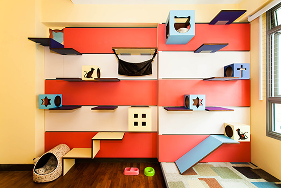 Designer cat climbing shelves, Catification, Interior Design, climbing wall for cats