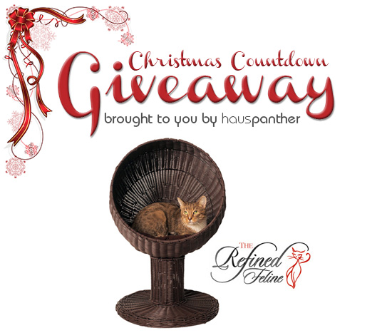 Giveaway_RefinedFeline