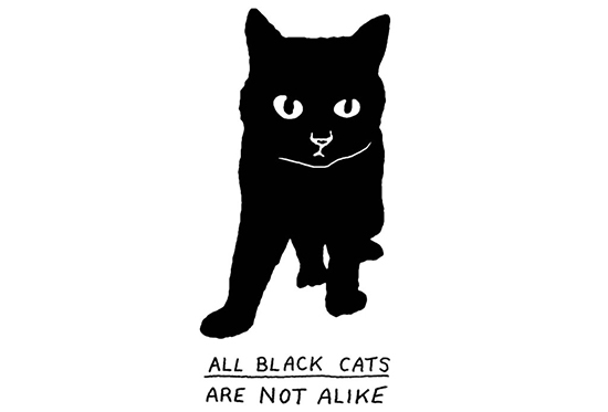 Not all black cats are best sale the same