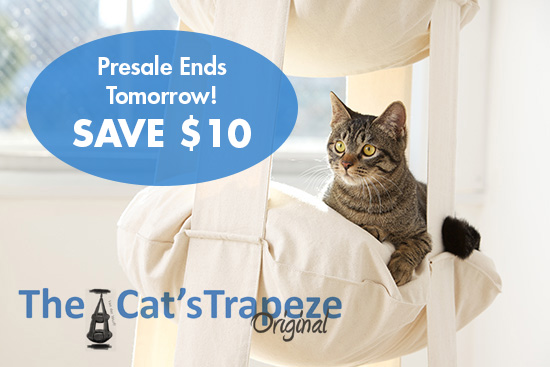 CatsTrapeze-Presale_end