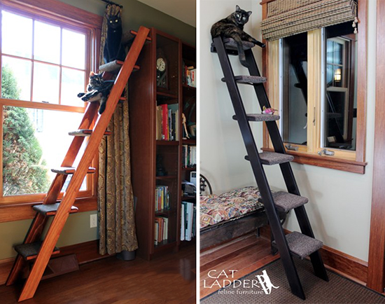 Ladder for cat cheap to climb