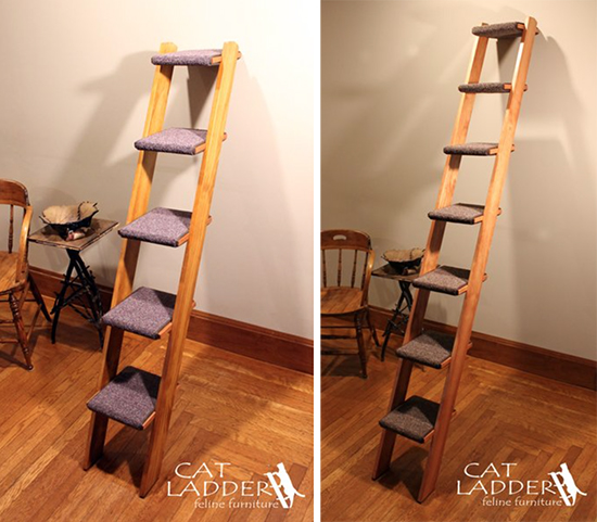 Ladder for cat cheap to climb