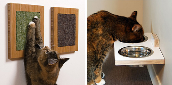 SqCat5