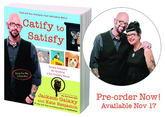 Get Ready for Catify To Satisfy Pre order Now hauspanther