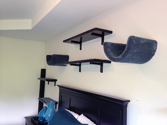 Bedroom Catification By Fundamentally Feline hauspanther