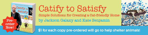 CatifyToSatisfy_PreOrder_500x120-2