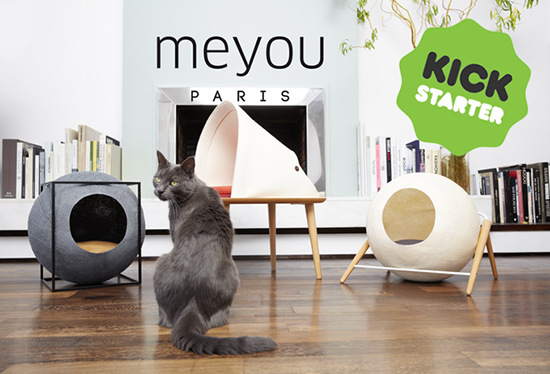 MeyouKickstarter