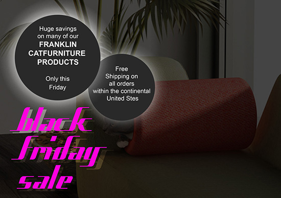 FranklinBlackFriday