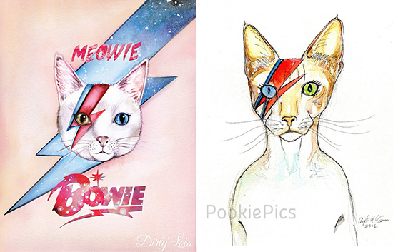 bowie cat shirt