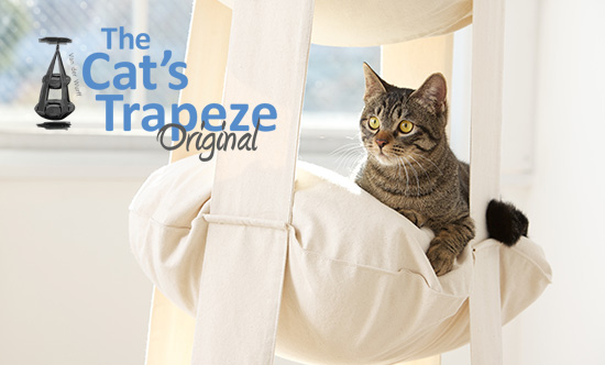 CatsTrapeze1