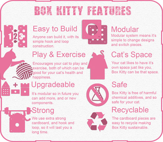 BoxKittySpecial5