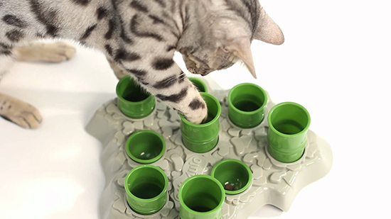 CatPuzzleToys3