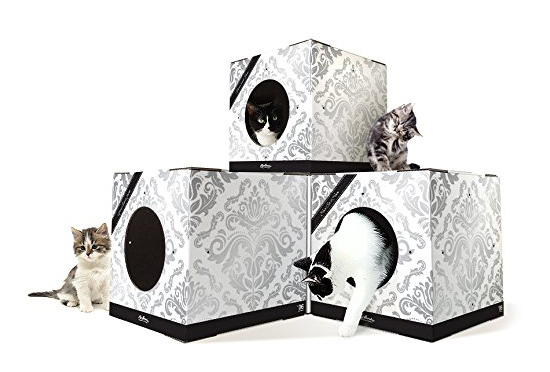 CatloveBox1