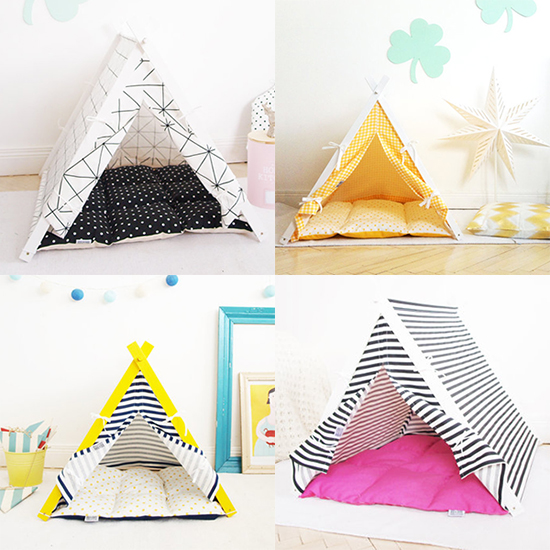 CatTeepee1