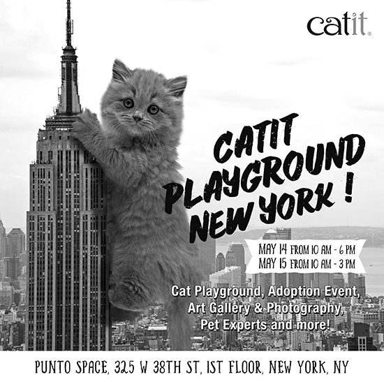 Catit Playground New York
